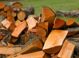 Czy olcha nadaje się do kominka? Odkryj jej zalety i wady