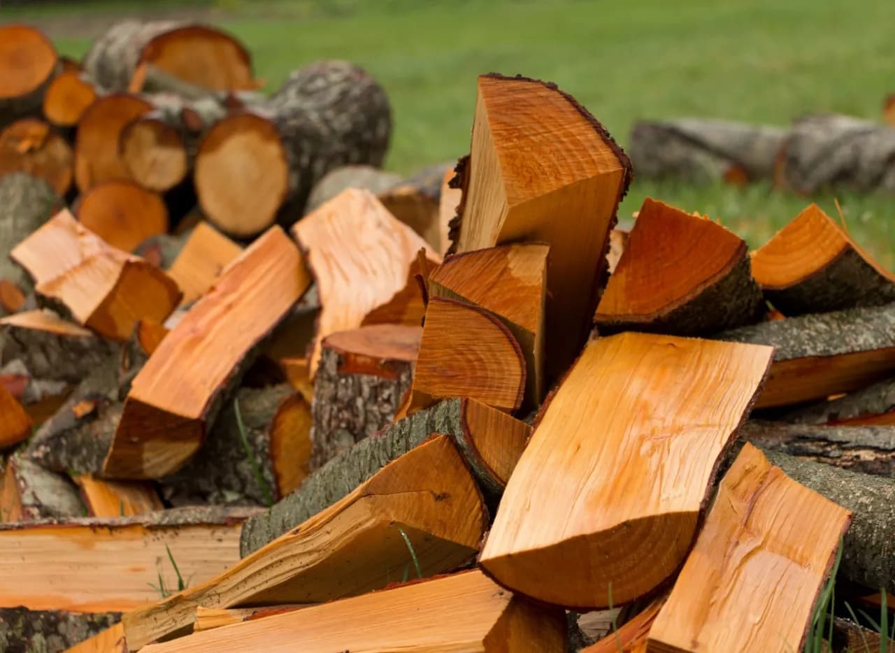 Czy olcha nadaje się do kominka? Odkryj jej zalety i wady