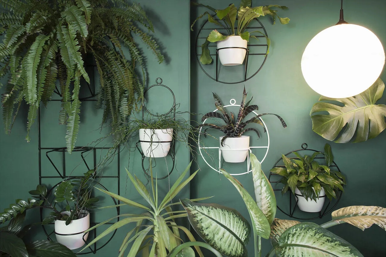 Jaki kwietnik do salonu? Wybierz idealny styl i oszczędź miejsce