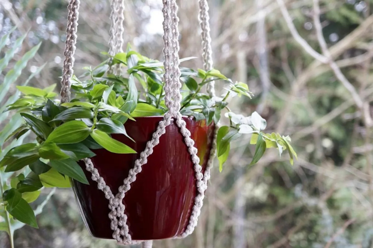 Jak zrobić kwietnik kokon z makramy - prosty sposób na dekorację